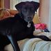 Wayne Lowitt - Facebook