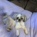 Wayne Ludwig - Facebook
