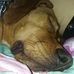 Wayne Lukens - Facebook
