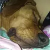 waynelukens - @waynelukens - TikTok