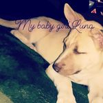 Luna&jujuwayne - @wayne.luna - Instagram