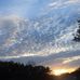 Wayne Lundberg - Facebook