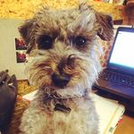 Lyles Jaxon Wayne aka "Coco" - @lylesjaxsonwayne - Instagram