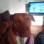Wayne Lyon - @waynelyon5 - Instagram