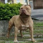 Dewayne Mabry - @waynemabry - Instagram