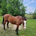Wayne Mabry - Facebook