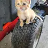 Wayne Mabry - @wayne.mabry4 - TikTok
