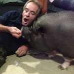 Wayne Mackinnon - @waynemackinnon1 - Instagram