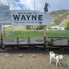 Wayne_MacLean🇨🇦 - @wayne_maclean - TikTok