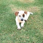 Bruce Wayne MacLeod - @bruce_notspot - Instagram