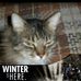 Donald Wayne MacTavish - Facebook