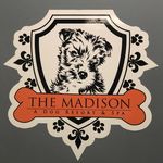 The Madison Dog Resort - Wayne - @thewaynemadison - Instagram
