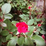 Wayne Madison - Facebook