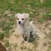 Nelly Migliolo - Facebook