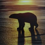 Wayne Mah - @wayne.mah.73 - Instagram
