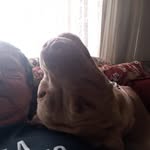 Wayne Mallia - @wayneisheretoo - Instagram