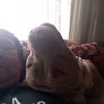 Wayne Mallia - Facebook
