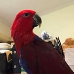 Wayne Malloy - @wayne.malloy - Instagram