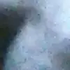 Wayne Malone - @wayne.malone8 - TikTok