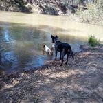 Wayne Frogga Marklew - @waynemarklew - Instagram