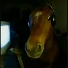 Wayne Marley - @wayne.marley8 - TikTok