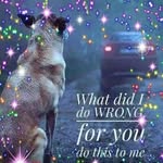 Wayne Martins - @wayne.martins.777 - Instagram