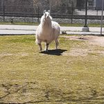 @waynemasterson04 - Instagram