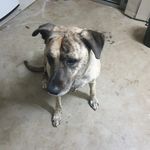 Wayne Matheson - @matheson1124 - Instagram