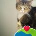 Wayne Matheson - Facebook
