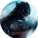 Wayne Matheson - @swampsnot - Instagram