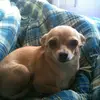 waynemathis7 - @wayne.mathis6 - TikTok