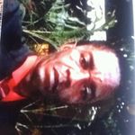 Wayne Mattison - @wayne.mattison - Instagram