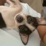 Amanda Maxfield - @wayneamandamaxfield - Instagram
