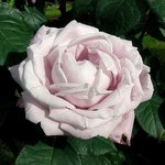 Wayne Maynard - @waynemaynard - Instagram