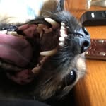 Wayne Mcconnell - @mcconnell.wayne - Instagram