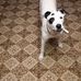 Wayne McCracken - Facebook