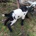 Wayne Mccray - Facebook