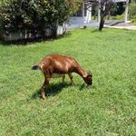 Wayne Mccubbin - @waynemccubbin2 - Instagram
