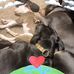 Wayne McCarry - Facebook