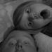 Danne Wayne Mccutcheon - Facebook