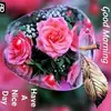 mcfaddenpaul729@gmail.com - @waynemcfadden0 - TikTok