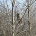 Wayne McDougall - Facebook