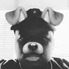 Wayne Mcgee - @waynemcgee3 - TikTok