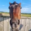 waynemcgowan125 - @waynemcgowan125 - TikTok