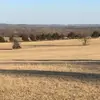 Wayne McGuiness - @wayne.mcguiness - TikTok