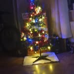 Wayne Mcintyre - @wayne.mcintyre.509 - Instagram