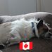 Wayne McIsaac - Facebook