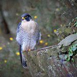 Wayne McKenna - @waynemckenna - Instagram