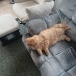 Wayne McKinnon - @mckinnon6066 - Instagram
