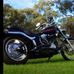 Wayne Mckinnon - Facebook